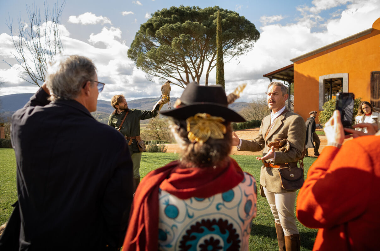 01 falconry gallery
