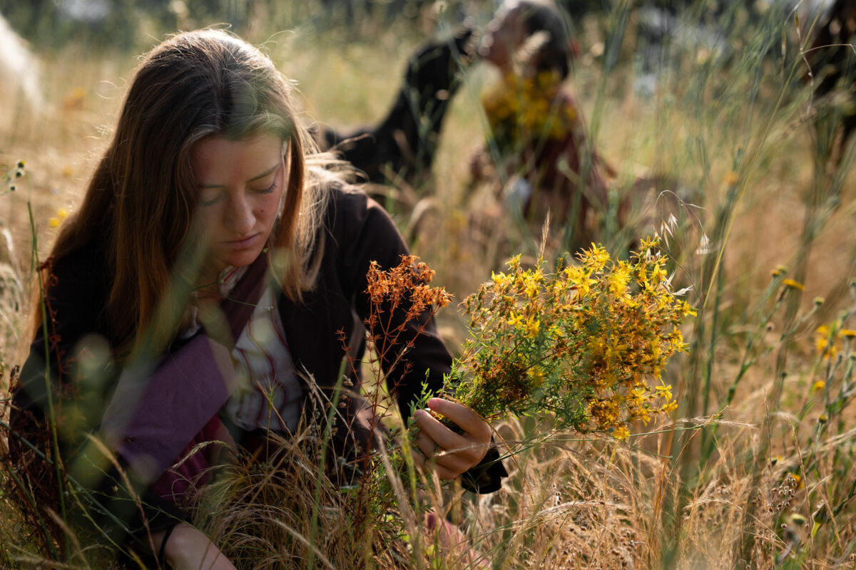 01 foraging gallery