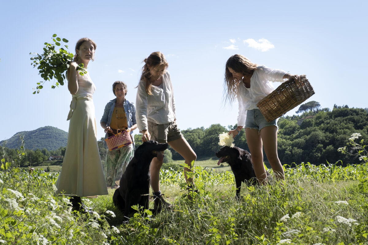 02 foraging gallery