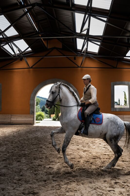 05 gallery horses
