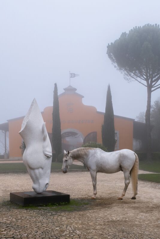 07 gallery horses