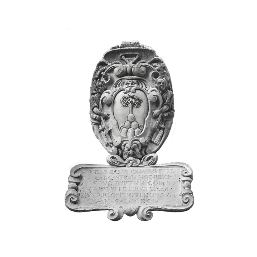 06 angelo cesi